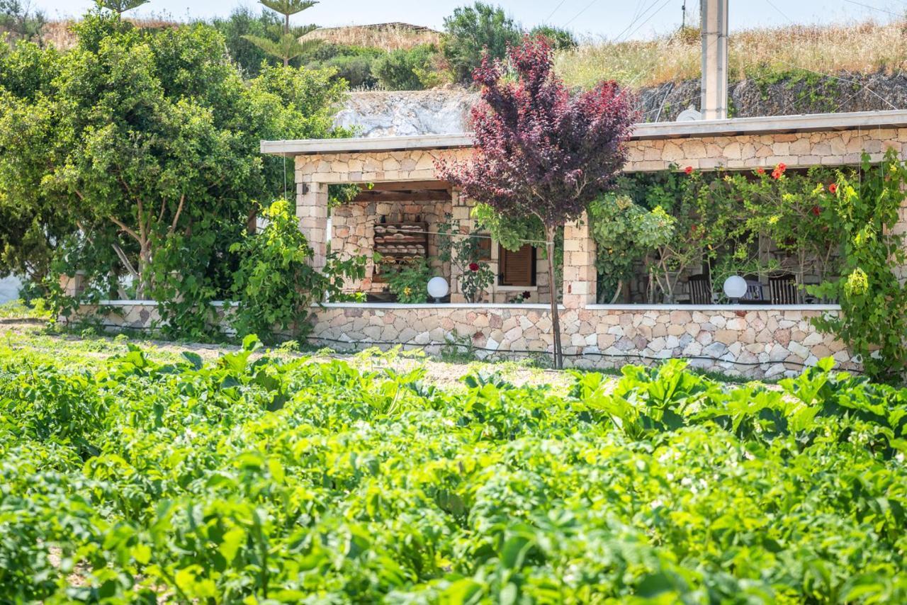 Emilia'S Little Farmhouses Agioi Anargyroi  Exteriér fotografie