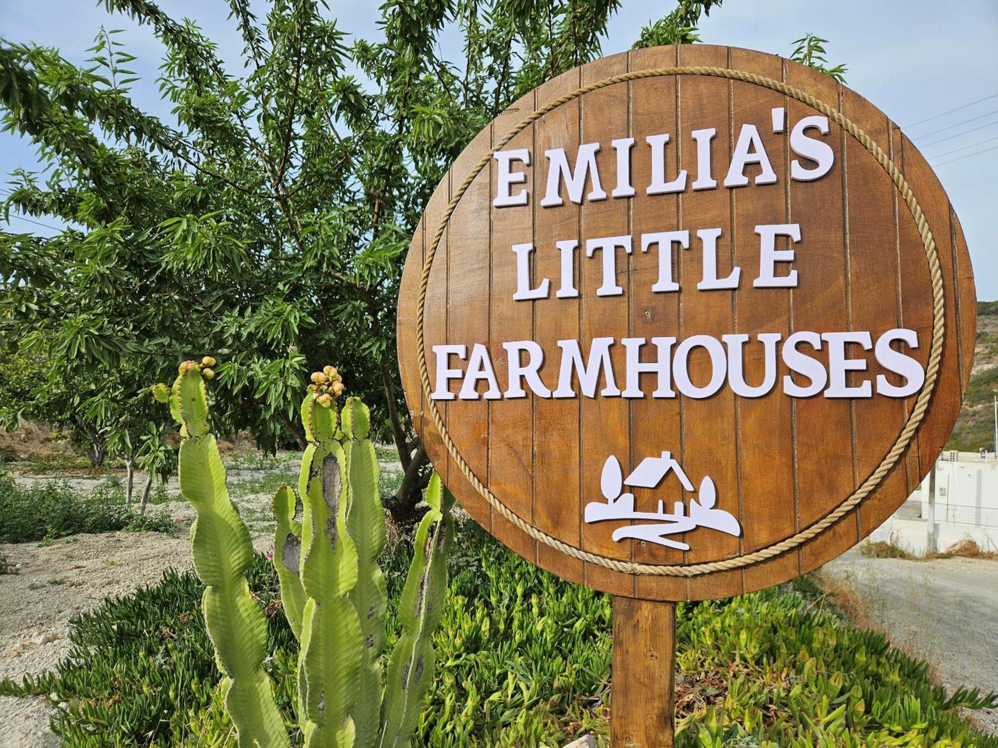 Emilia'S Little Farmhouses Agioi Anargyroi  Exteriér fotografie